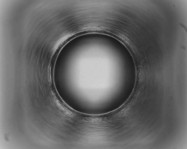 X0000102821030200808251106