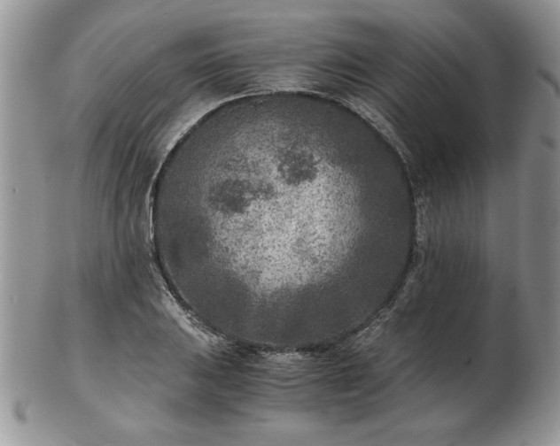 X0000102821031200808251106