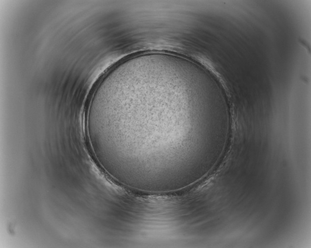 X0000102821032200808251106