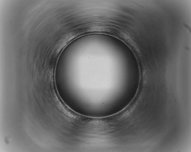 X0000102821033200808251106
