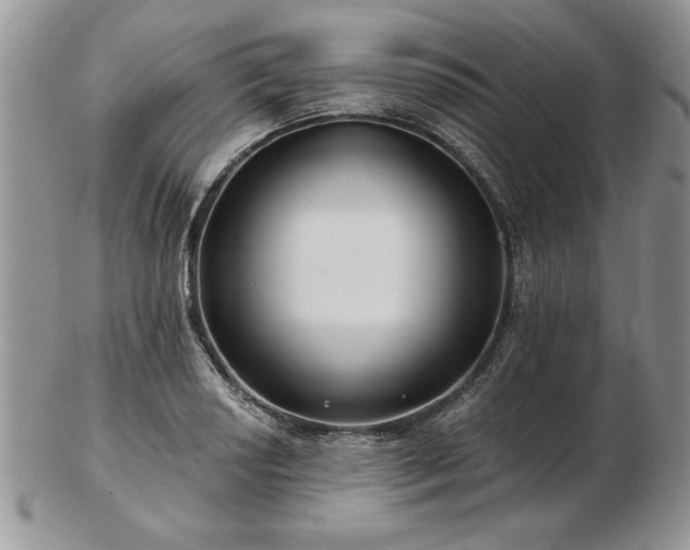 X0000102821034200808251106