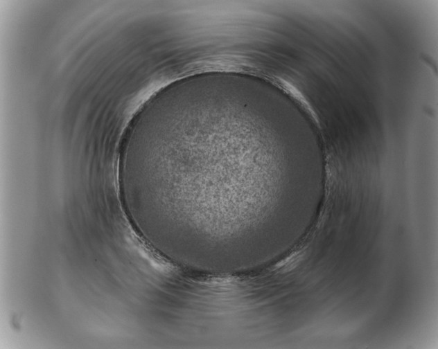 X0000102821035200808251106