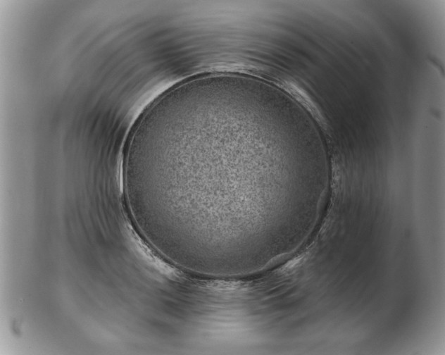 X0000102821036200808251106