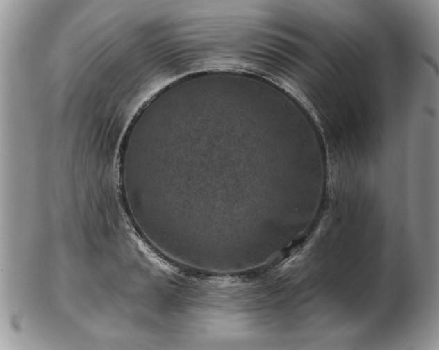 X0000102821037200808251106