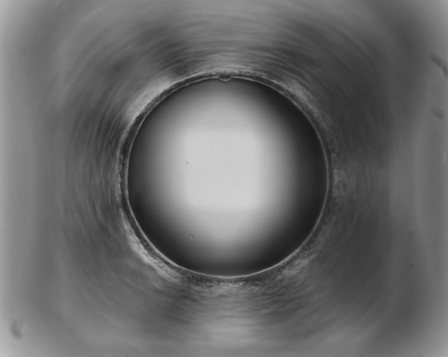 X0000102821038200808251106