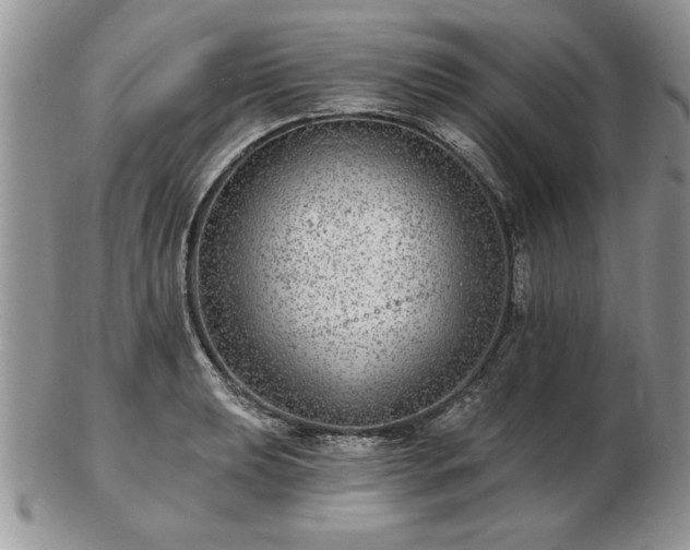 X0000102821039200808251106