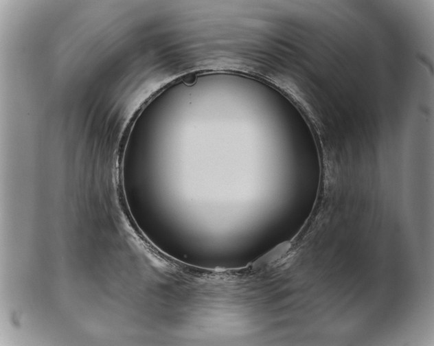 X0000102821040200808251106
