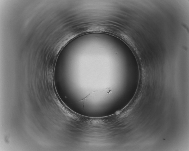 X0000102821041200808251106
