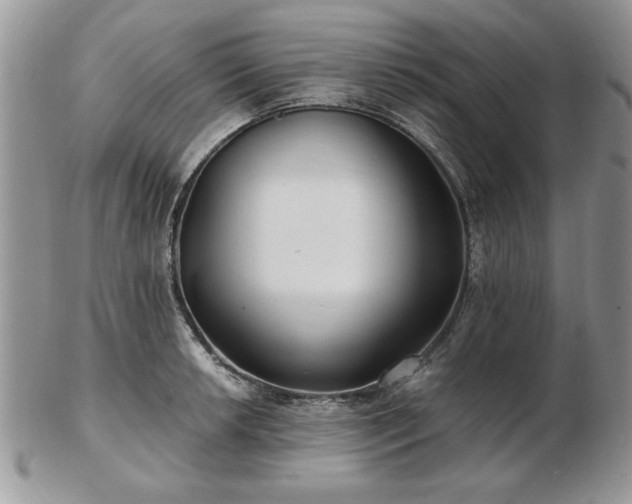 X0000102821042200808251106