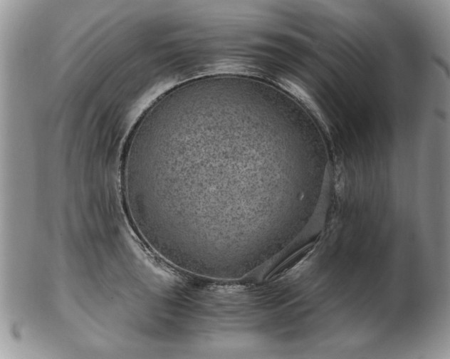 X0000102821043200808251106