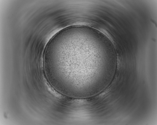X0000102821044200808251106