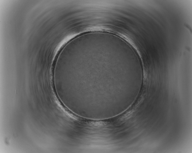 X0000102821045200808251106