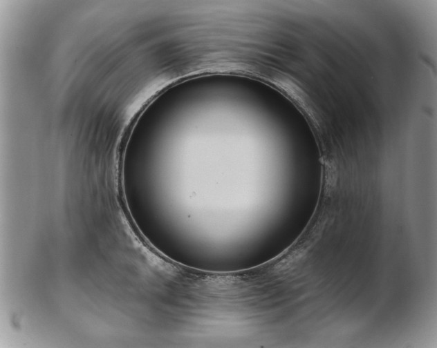 X0000102821046200808251106