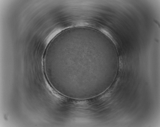 X0000102821047200808251106