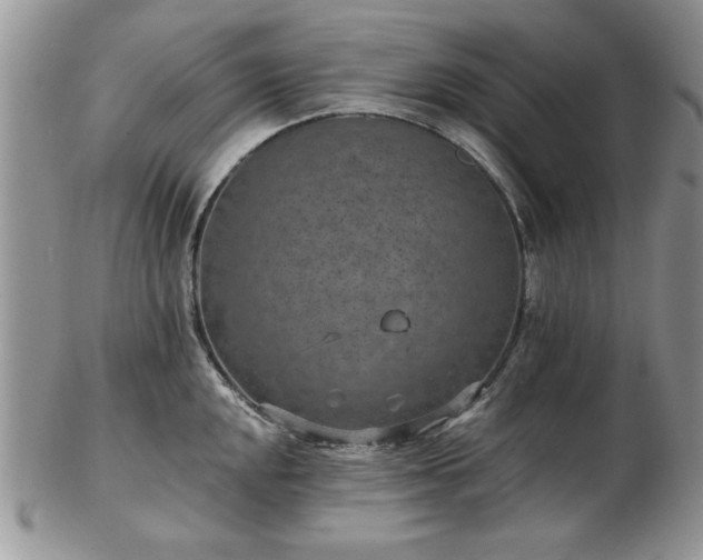 X0000102821048200808251106