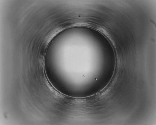 X0000102821049200808251106