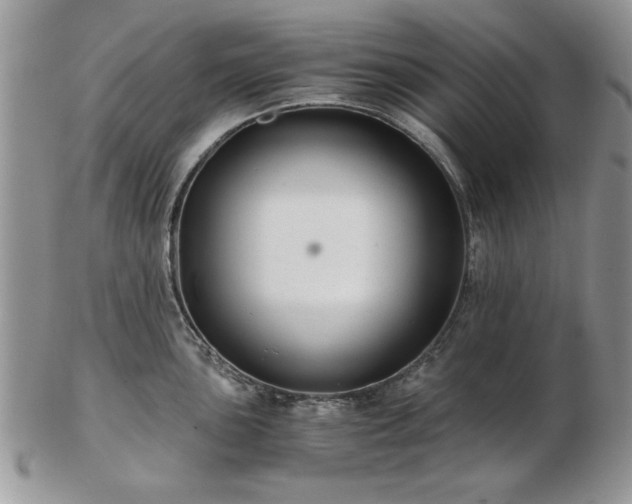 X0000102821051200808251106