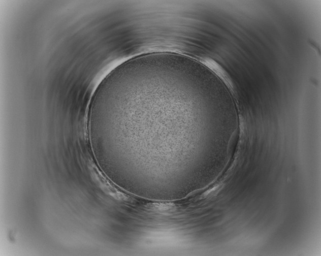X0000102821052200808251106
