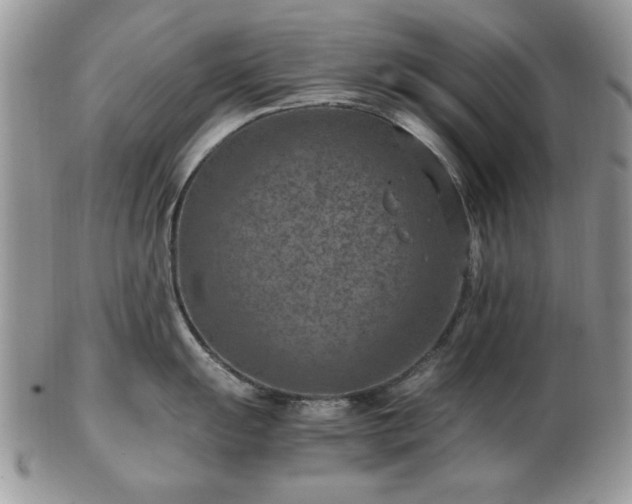 X0000102821055200808251106
