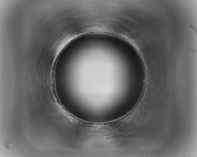 X0000102821056200808251106