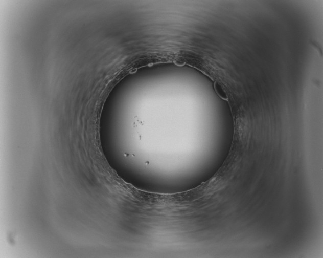 X0000102821057200808251105