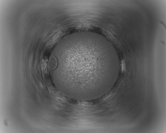 X0000102821059200808251105