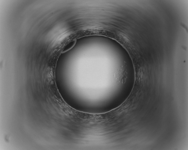 X0000102821062200808251105