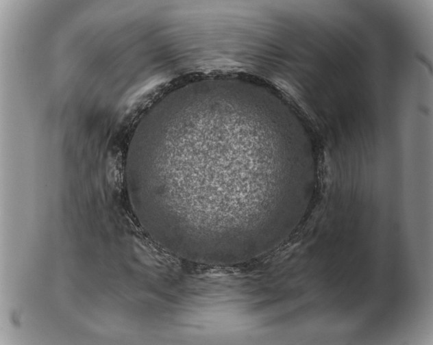 X0000102821063200808251105