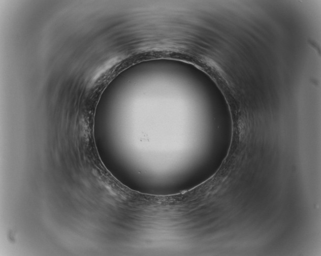 X0000102821064200808251105