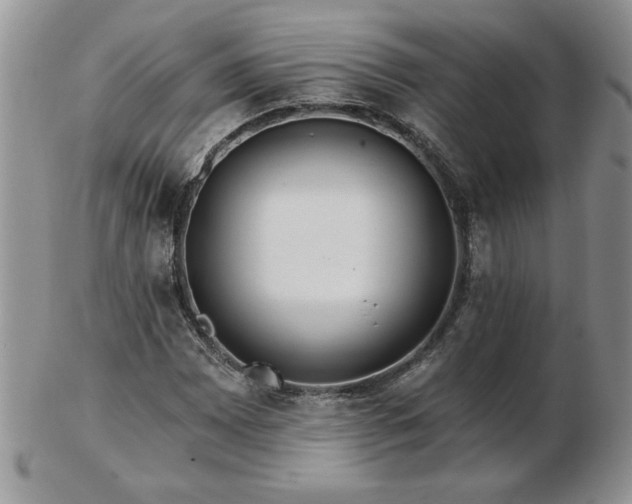 X0000102821065200808251105