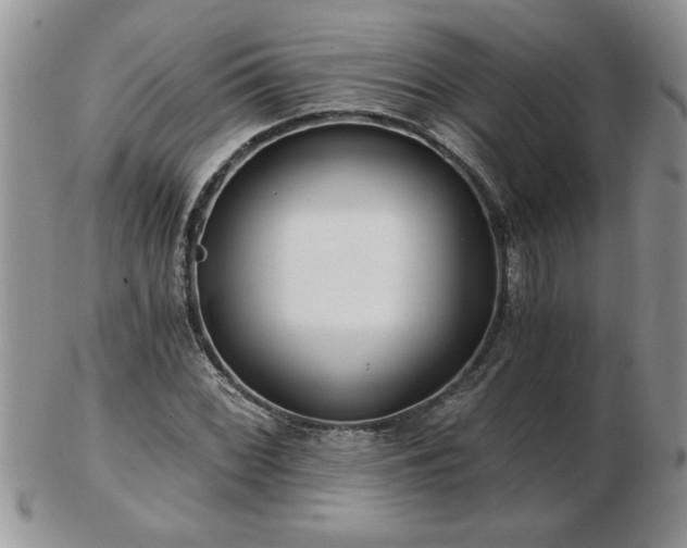 X0000102821068200808251105