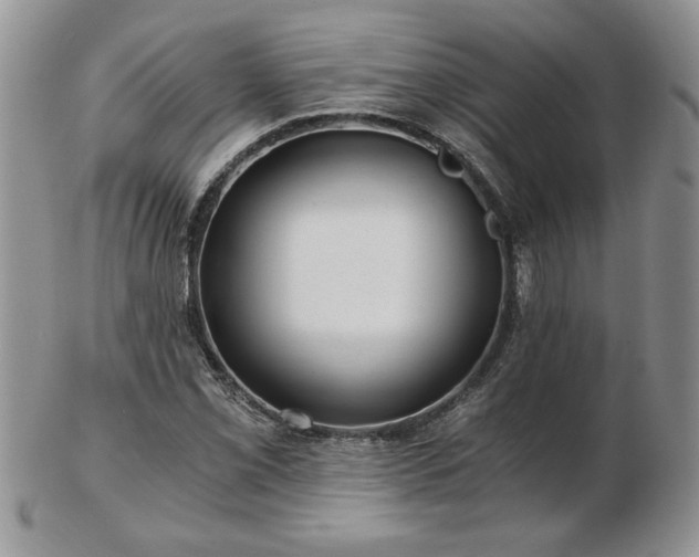X0000102821069200808251105