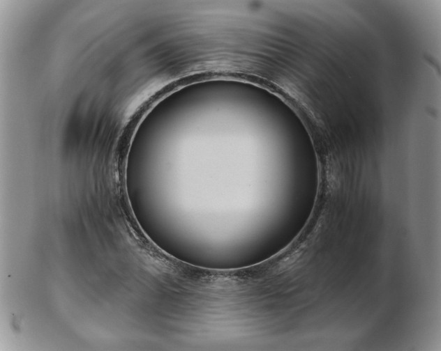 X0000102821070200808251105