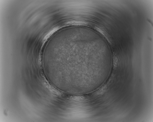 X0000102821074200808251105