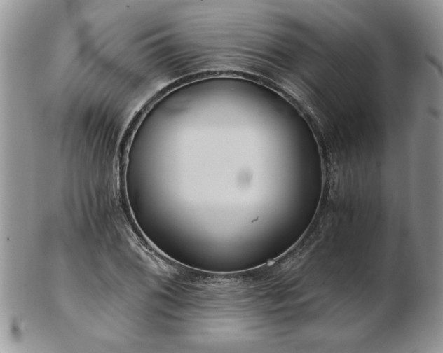 X0000102821076200808251105