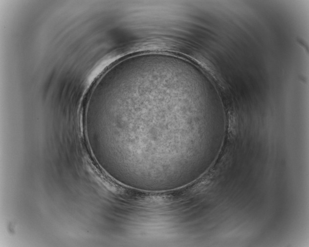 X0000102821078200808251105