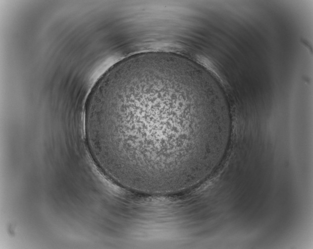 X0000102821079200808251105