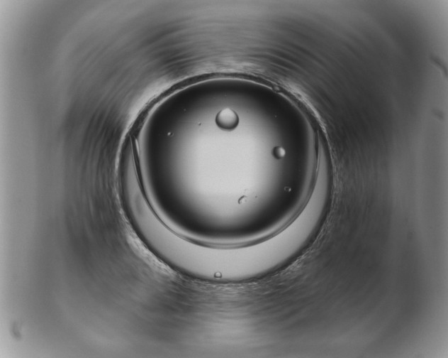 X0000102821080200808251105