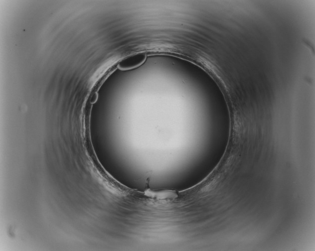 X0000102821082200808251105