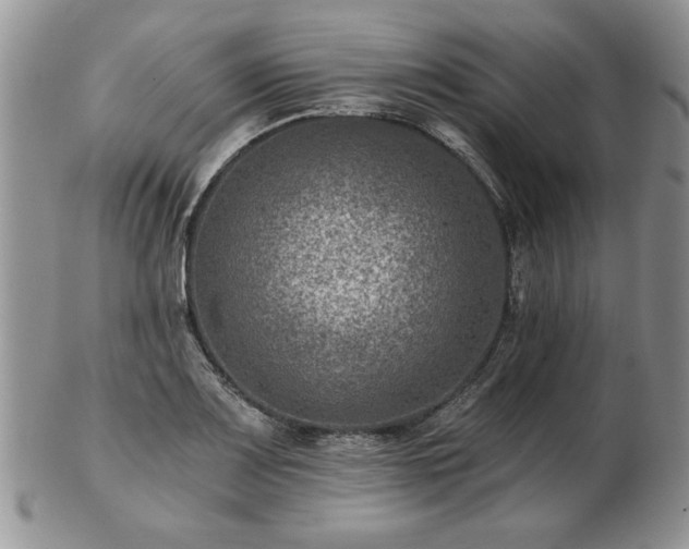 X0000102821083200808251105