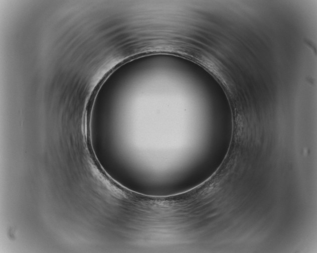 X0000102821084200808251105