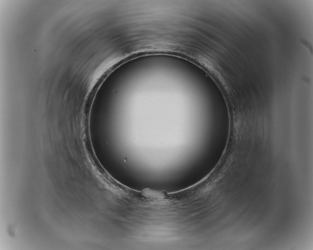 X0000102821085200808251105