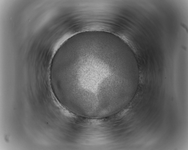 X0000102821086200808251105