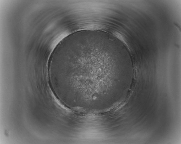 X0000102821087200808251105