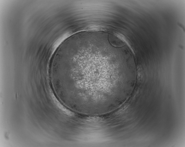 X0000102821091200808251105