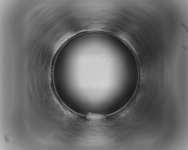 X0000102821093200808251105