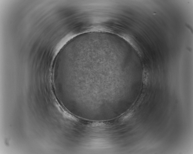 X0000102821094200808251105