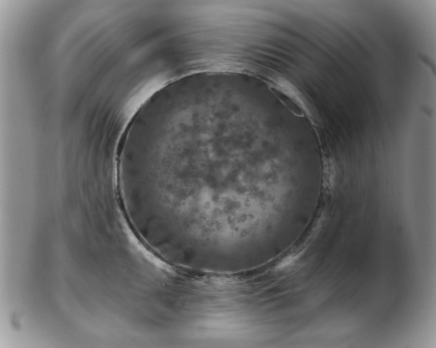 X0000102821095200808251105