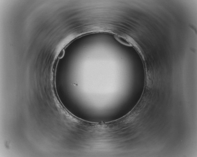 X0000102821096200808251105