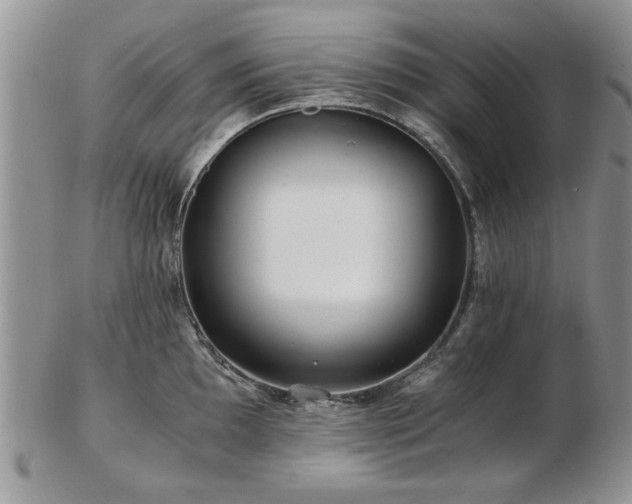 X0000102821097200808251105